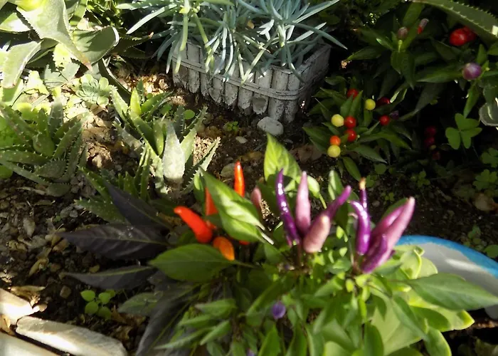 Maison De Charme Mavi