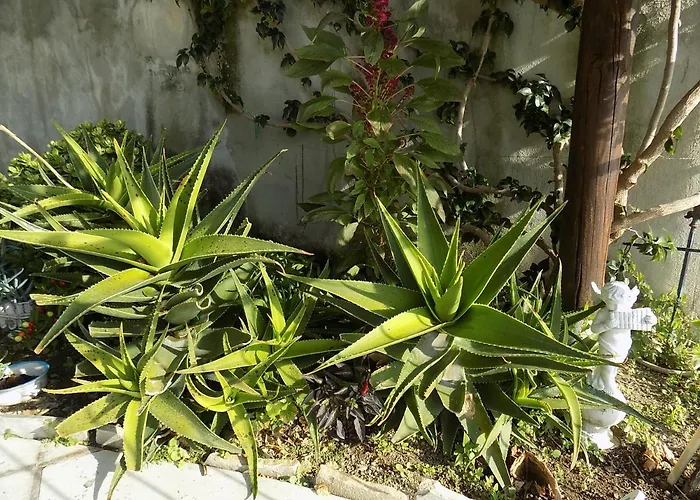 Maison De Charme Mavi 普莱亚诺